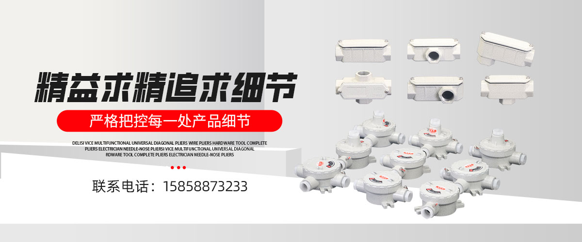 浙江新黎明照明股份有限公司